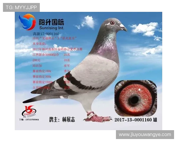 AG国际厅会员注册常见问题解答，解决您的疑虑与困惑