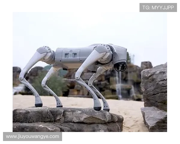 全面解析PA视讯版的特色功能与操作指南